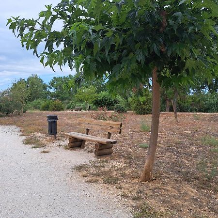 Studio Proche De Perpignan Peyrestortes Eksteriør bilde