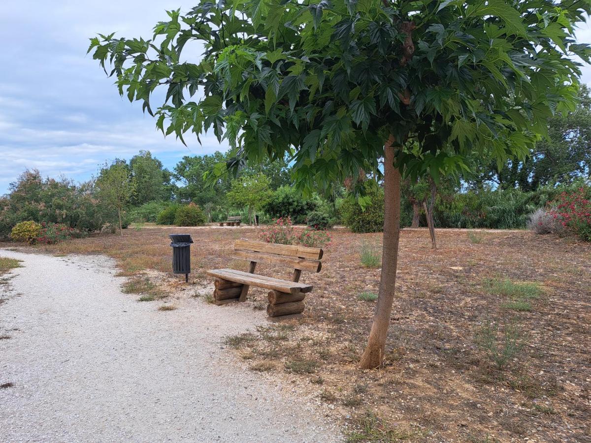 Studio Proche De Perpignan Peyrestortes Eksteriør bilde